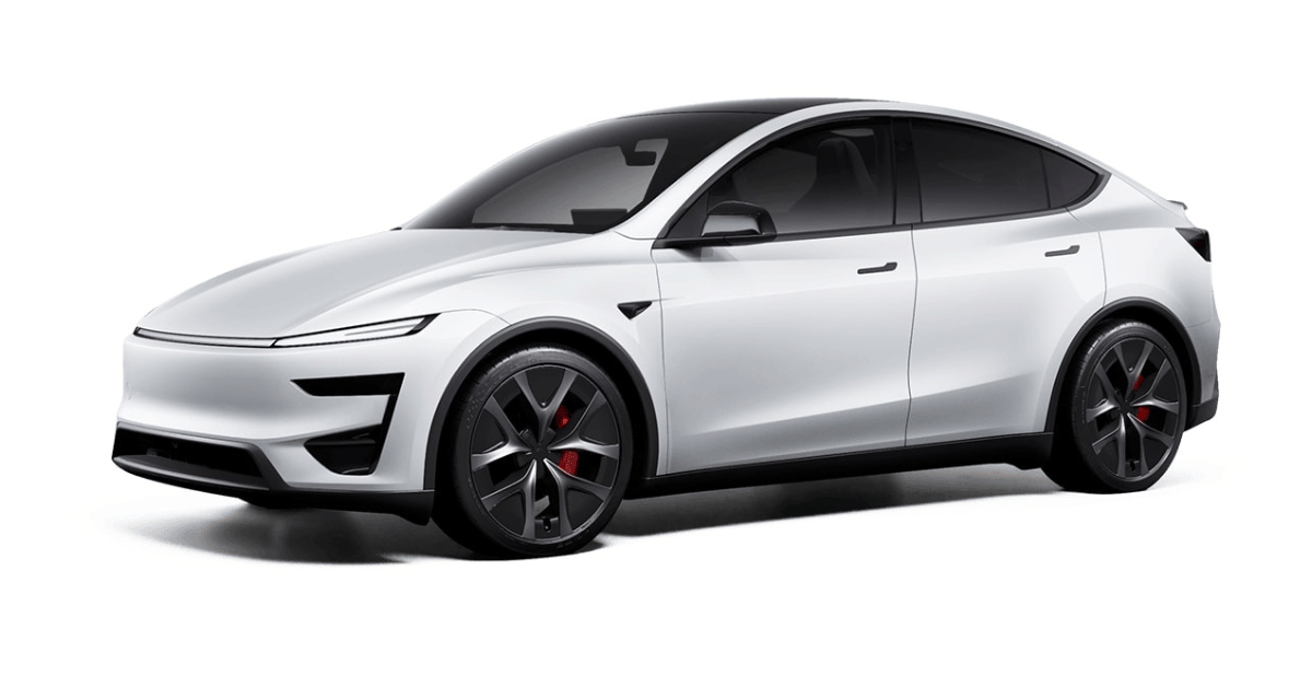 Tesla Model Y Performance Side View